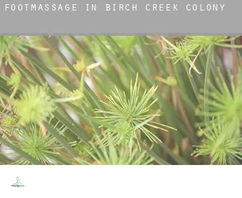 Foot massage in  Birch Creek Colony